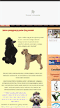Mobile Screenshot of dogmodel.pl
